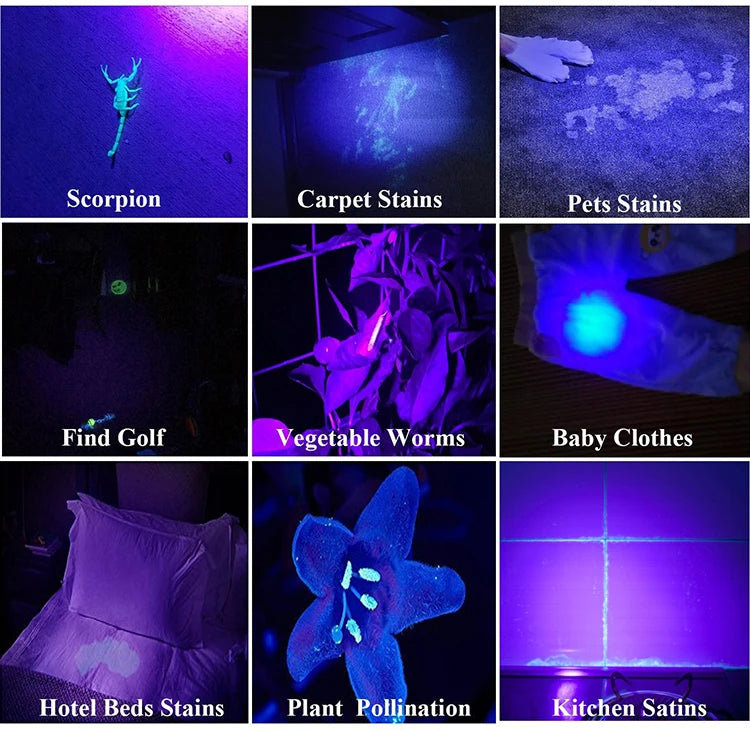 (U101) Forensic UV Flashlight.