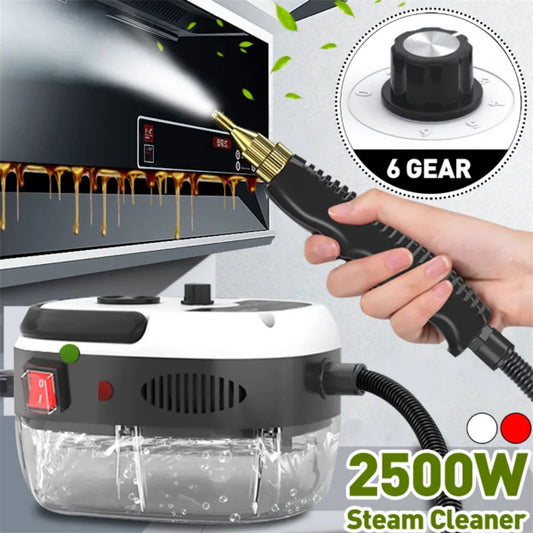 (T125) 2500W 110V/220V High Pressure And Temperature Handhled Steam Cleaner.